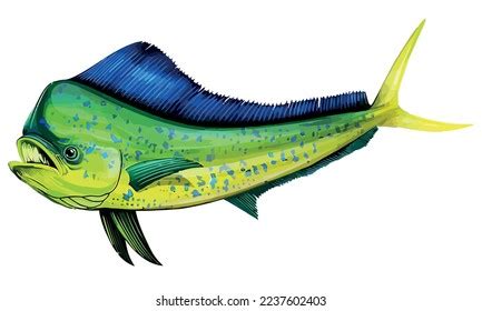2,559 Mahi Mahi Images, Stock Photos, 3D objects, & Vectors.